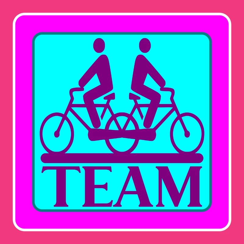 TEAM PROBLEMS - BICYCLE - STRATEGY