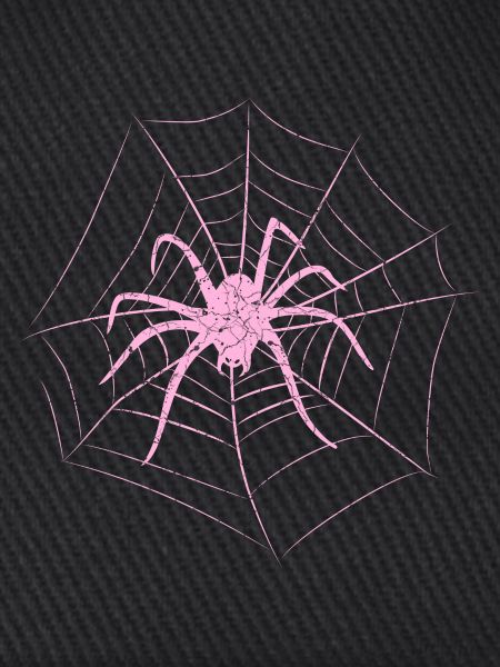 Spinne im Netz Halloween