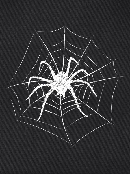 Spinne Halloween