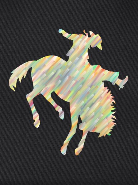 Rodeo Reiten