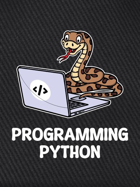Skripting Programmierer Computer Debug Developer