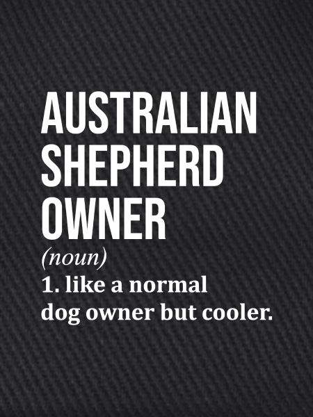Australian Shepherd Australian Shepherd