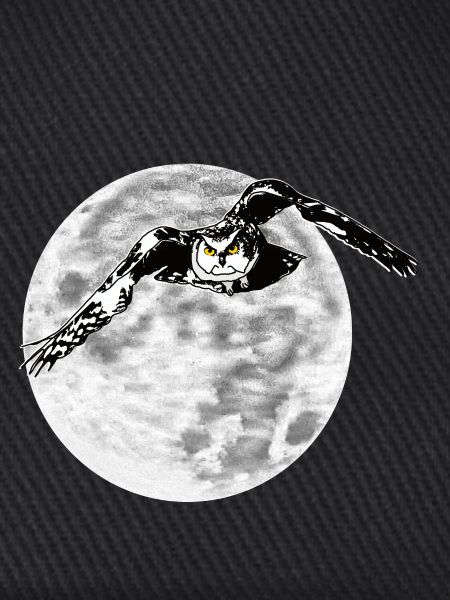 Eule vor Mond