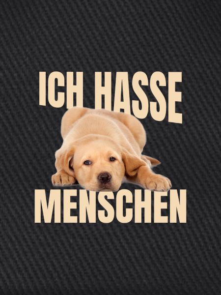 Labrador Meme