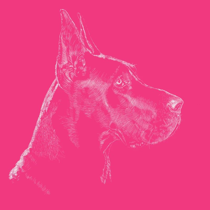 Dogge