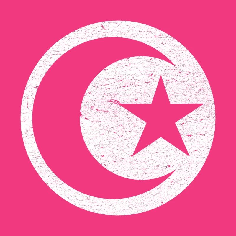 Crescent and star islam white circle
