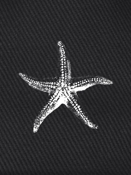 Starfish Silhouette Noir