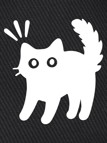 Kater Katze