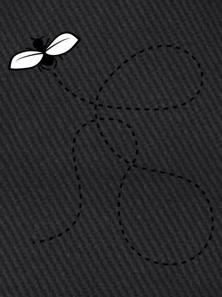Dashed Line Fly