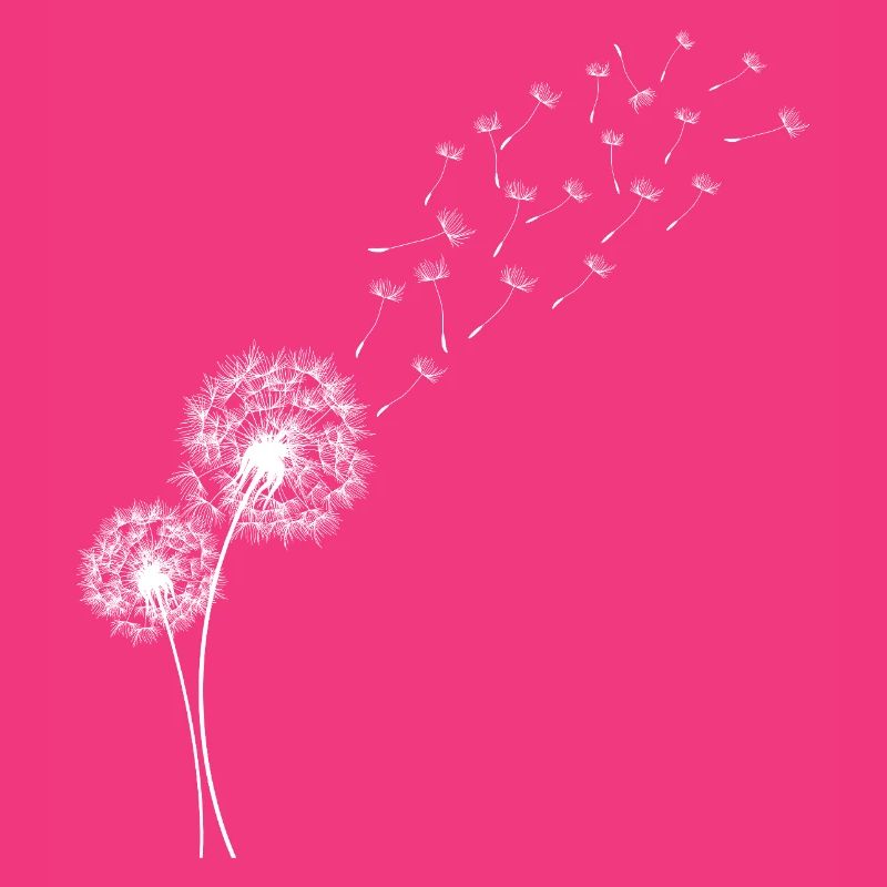 Löwenzahn Löwenzahnblüten im Flug