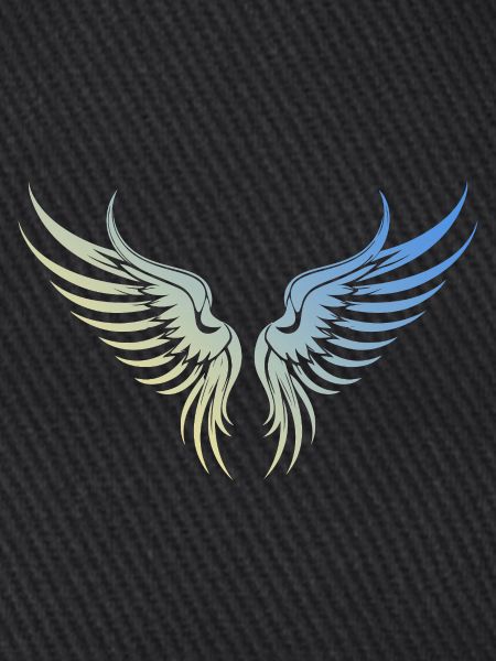 Wings icon