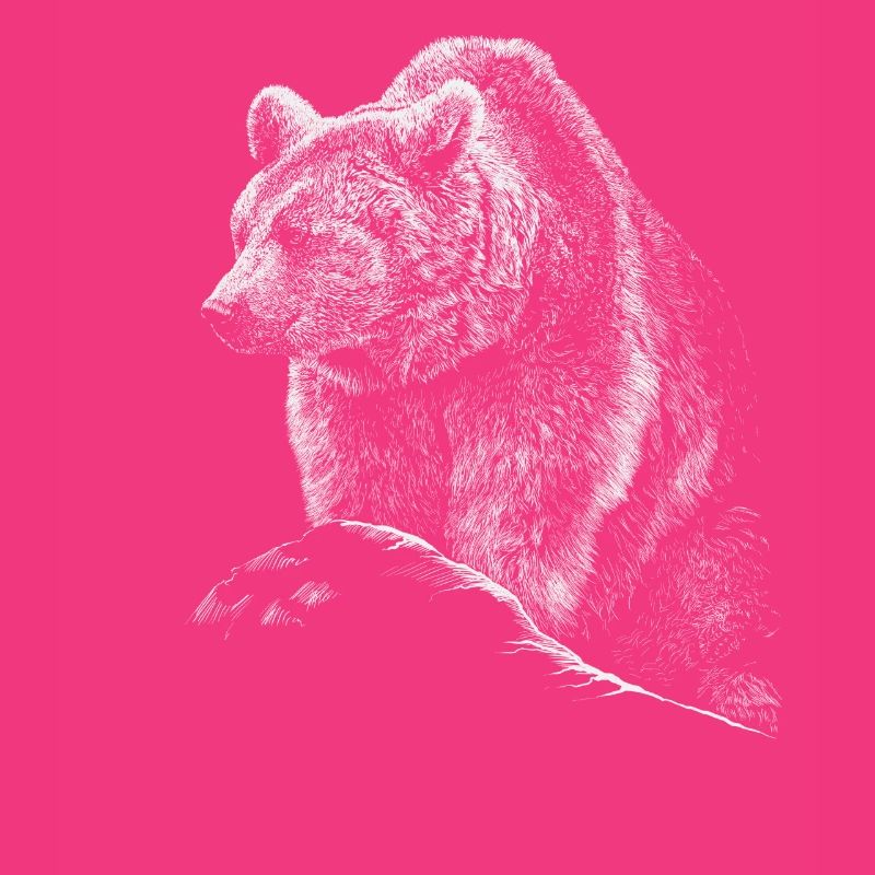 Bär