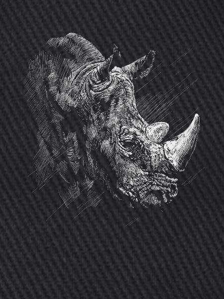 Nashorn