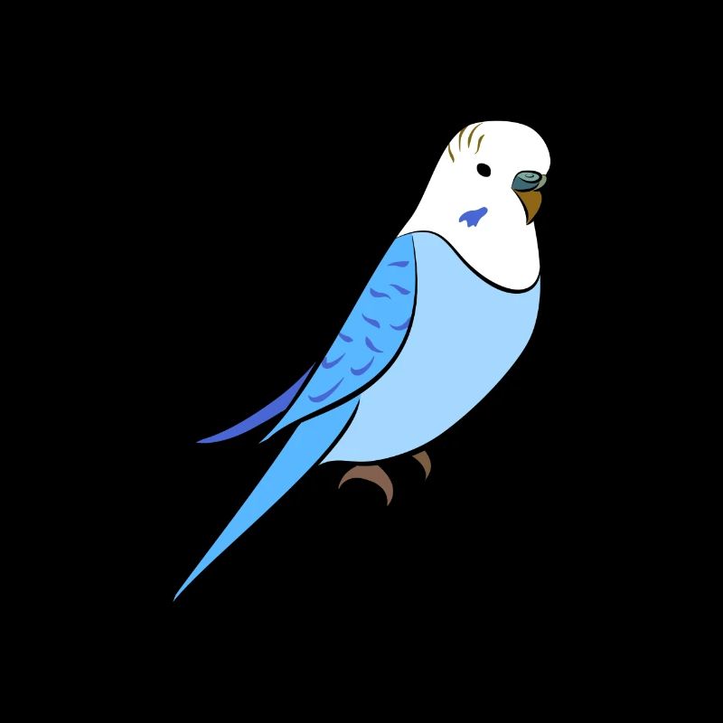 Wellensittich Blau