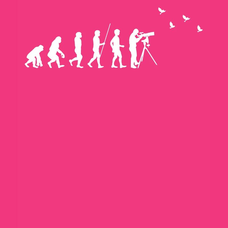 Observation des oiseaux - Observation des oiseaux - Evolution - fun