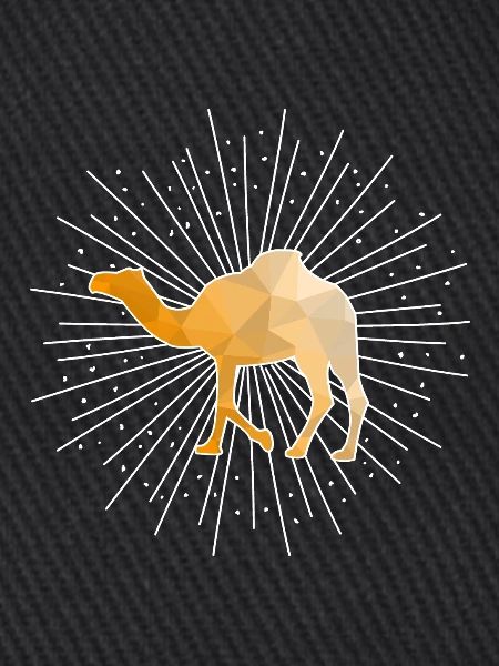 Camel dromedary