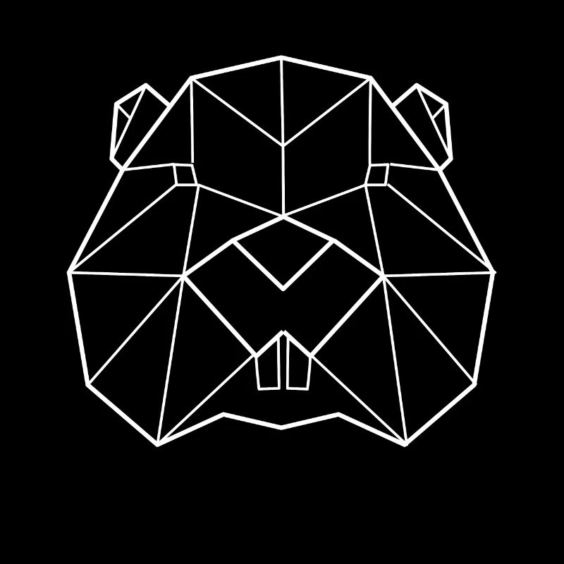 Beaver polygon