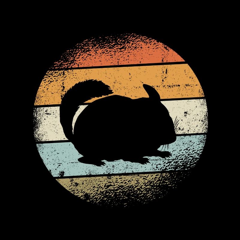 Chinchilla