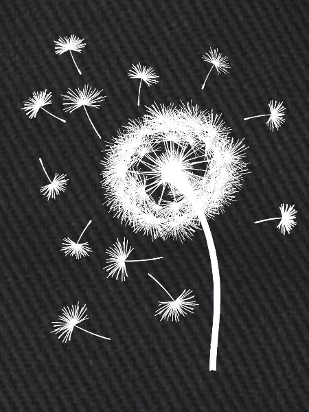 dandelion
