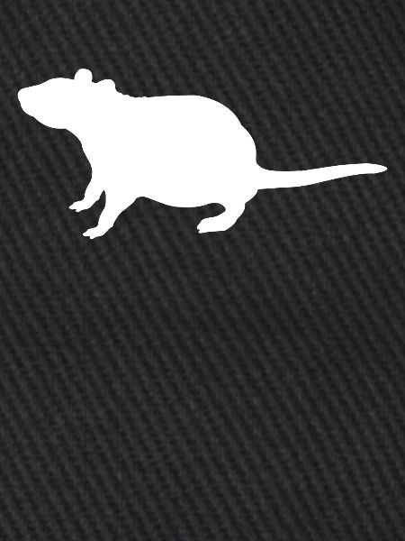 Ratte