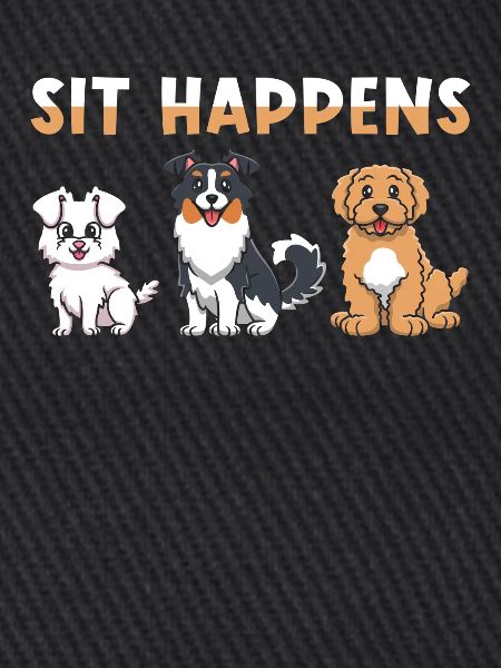 Dog Agility