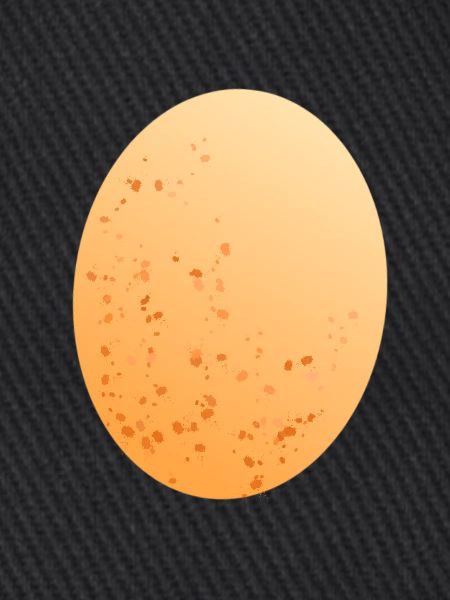 Egg chicken egg