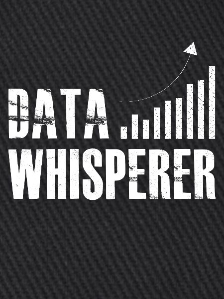 Datenflüsterer, Wissenschaftsanalyst, Software-Ingenieur