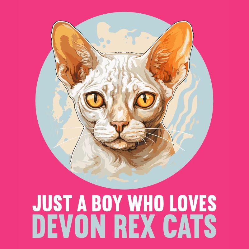 Chaton Devon Rex Chat Devon Rex