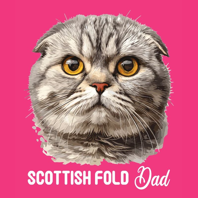 Scottish Fold Kitten Scottish Fold Cat