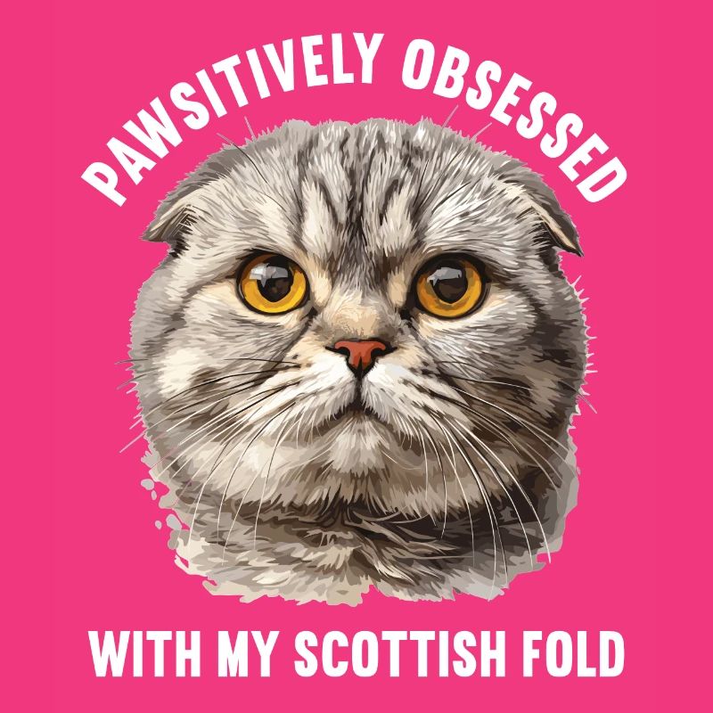 Scottish Fold Kitten Scottish Fold Cat