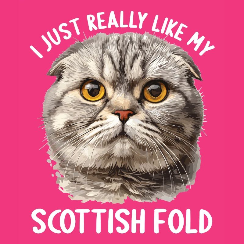 Scottish Fold Kitten Scottish Fold chat
