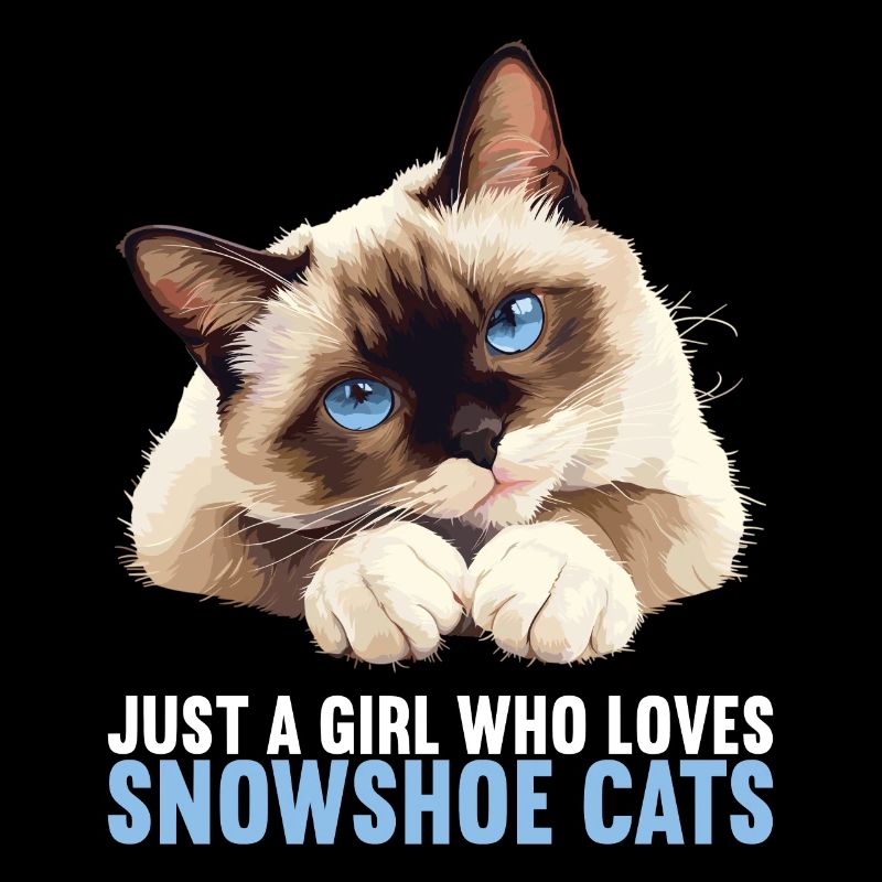 Chaton raquette Chat raquette
