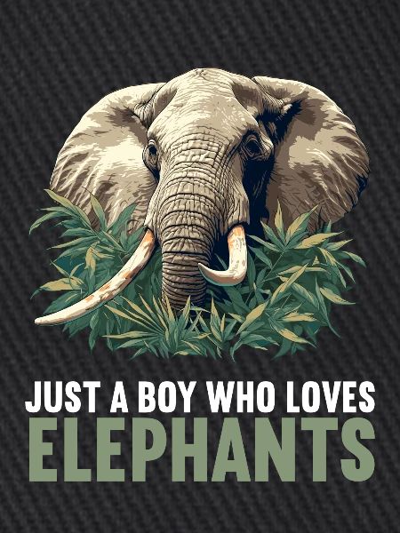 Elefanten Elefant