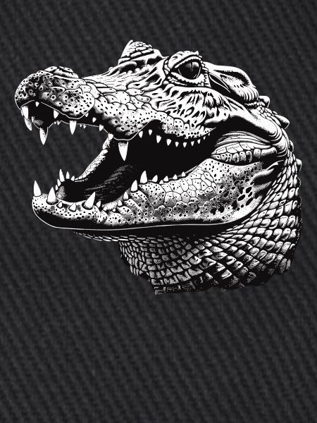Alligatoren Alligator