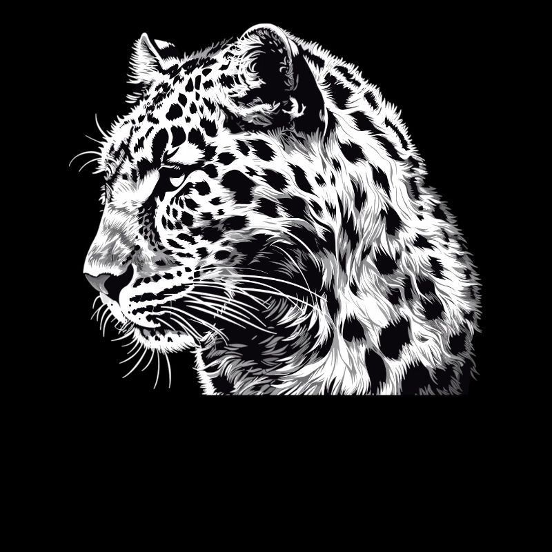 Leoparden Leopard