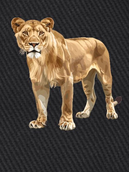 Lioness Löwinnen Löwin