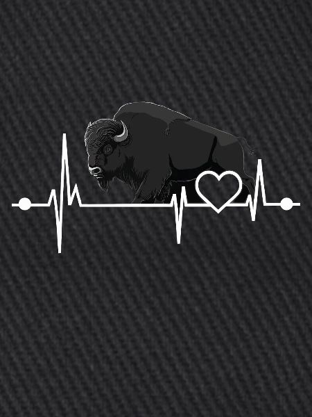 Bison