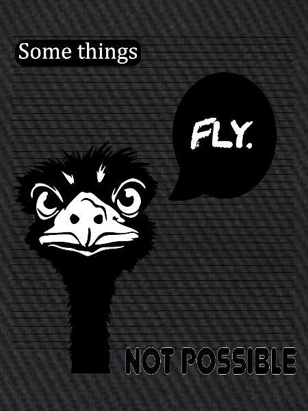 OSTRICH FLY BLK
