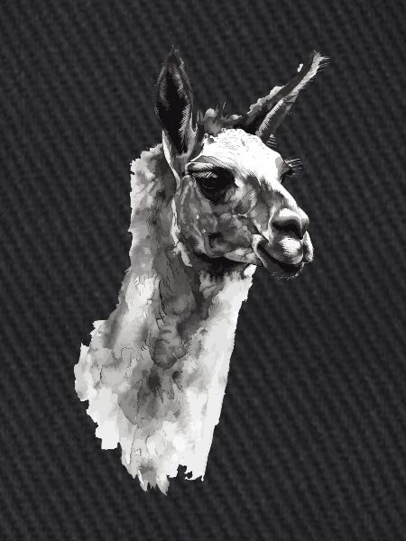 Lama