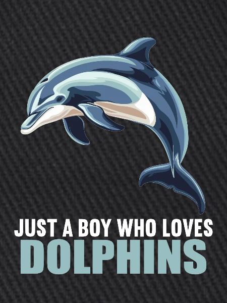 Dolphin Dolphins Dolphin