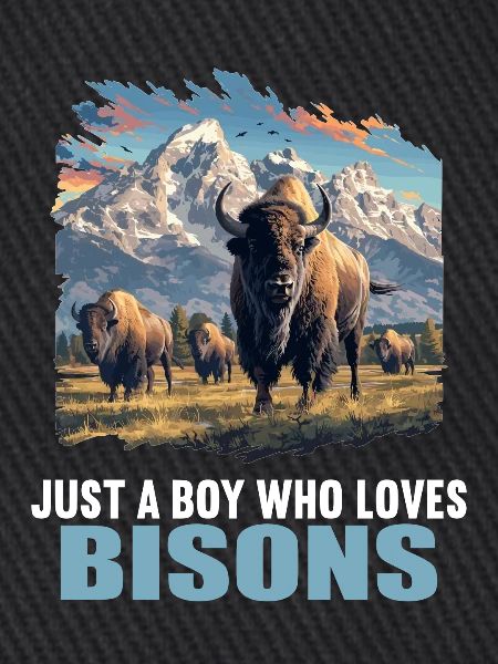 Bisons Bison