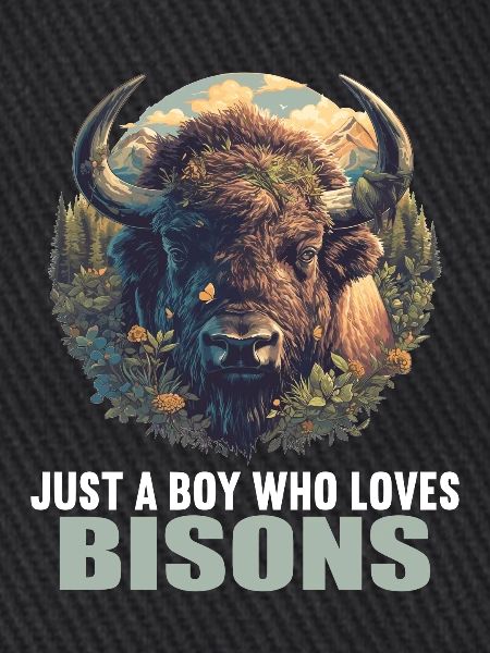 Bisons Bison