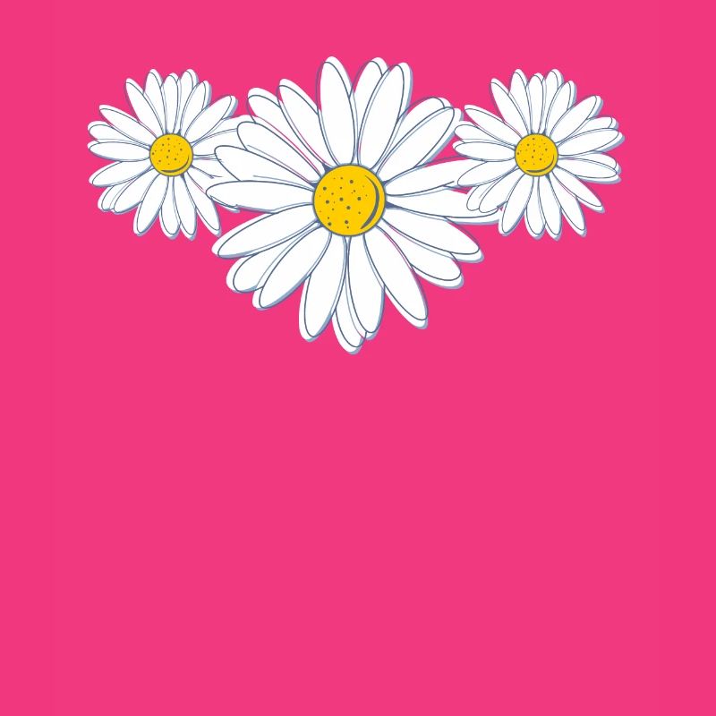 Schöne Gänseblümchenblüte Belle fleur de marguerite