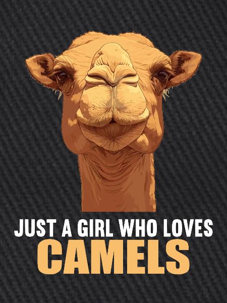 Camel Kamele Kamel