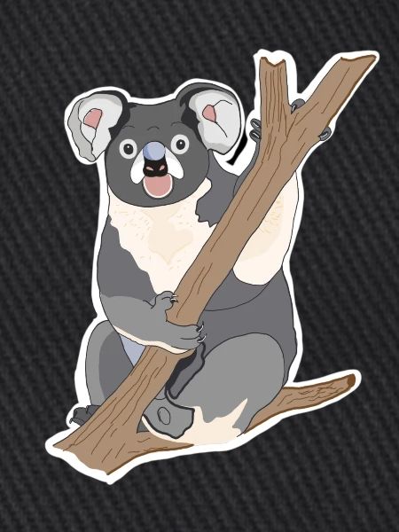 Koala Koala Bear