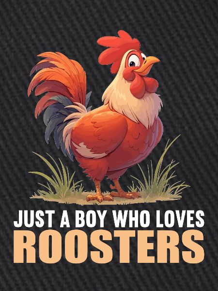 Rooster Hähne Hahn