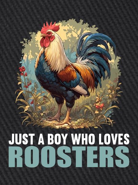 Rooster Hähne Hahn