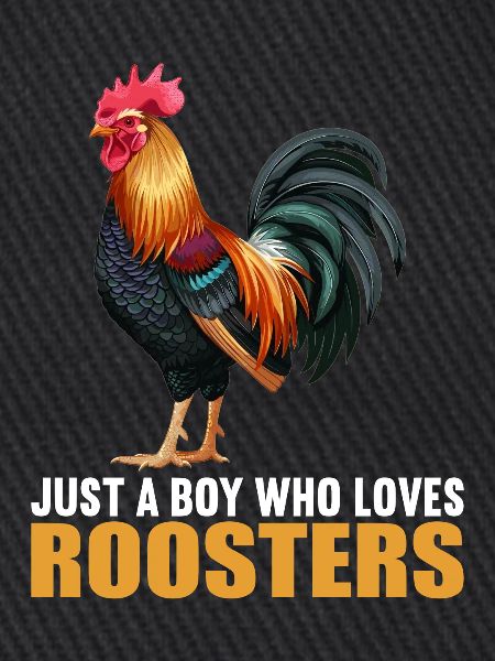 Rooster Hähne Hahn