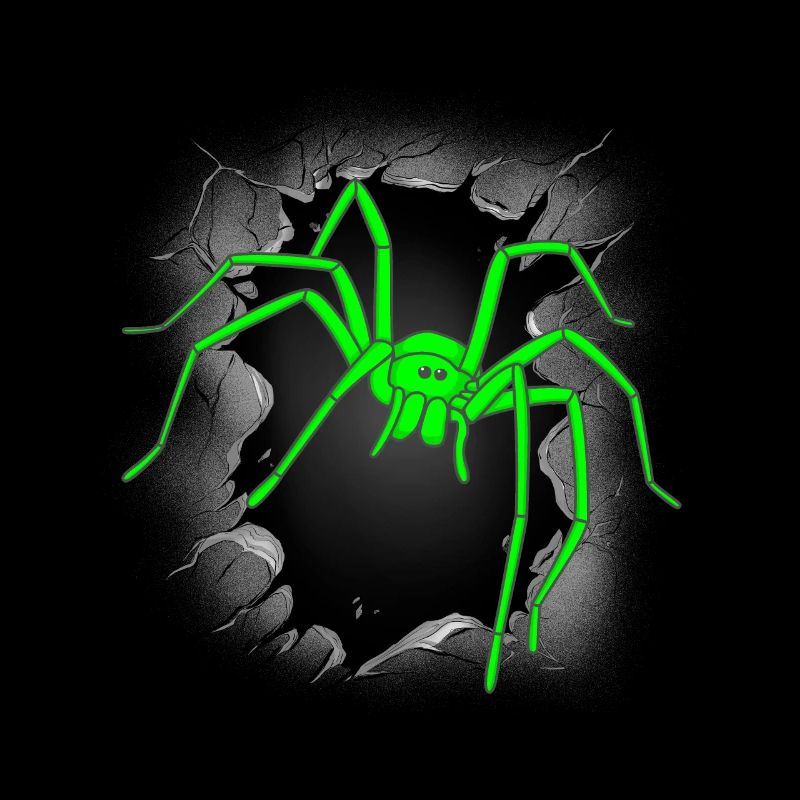 Araignées Araignée Araignée Halloween Araignées Phobie