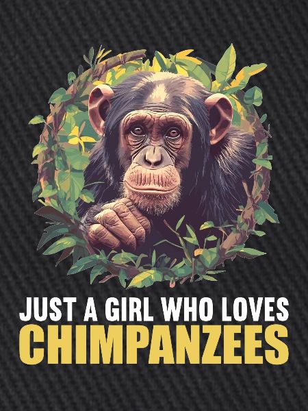 Chimpanzee Schimpansen Schimpanse